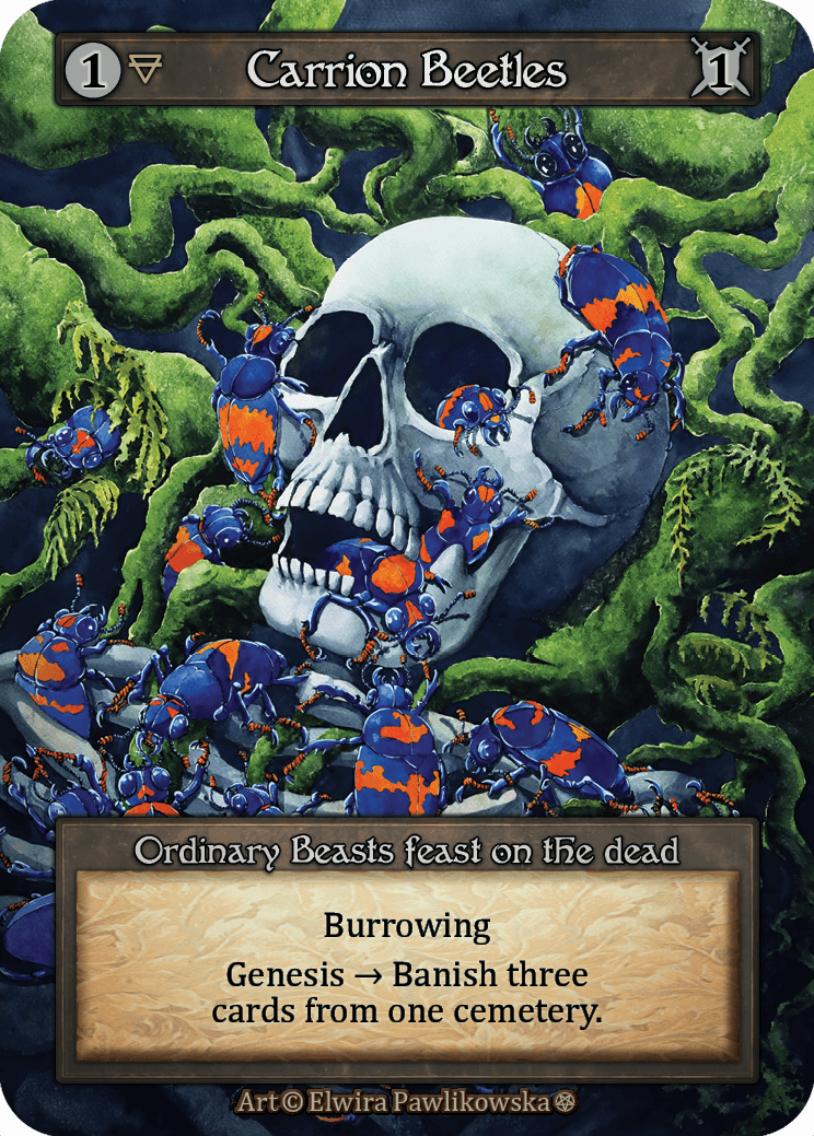 (FOIL) Carrion Beetles - Gothic - NM